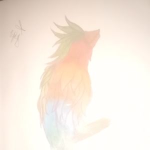 Bird drawing